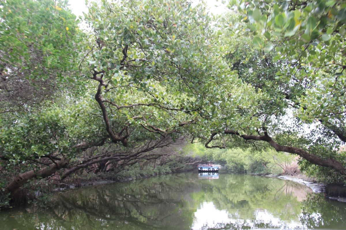台江國家公園