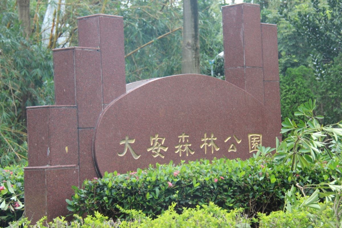 大安森林公園