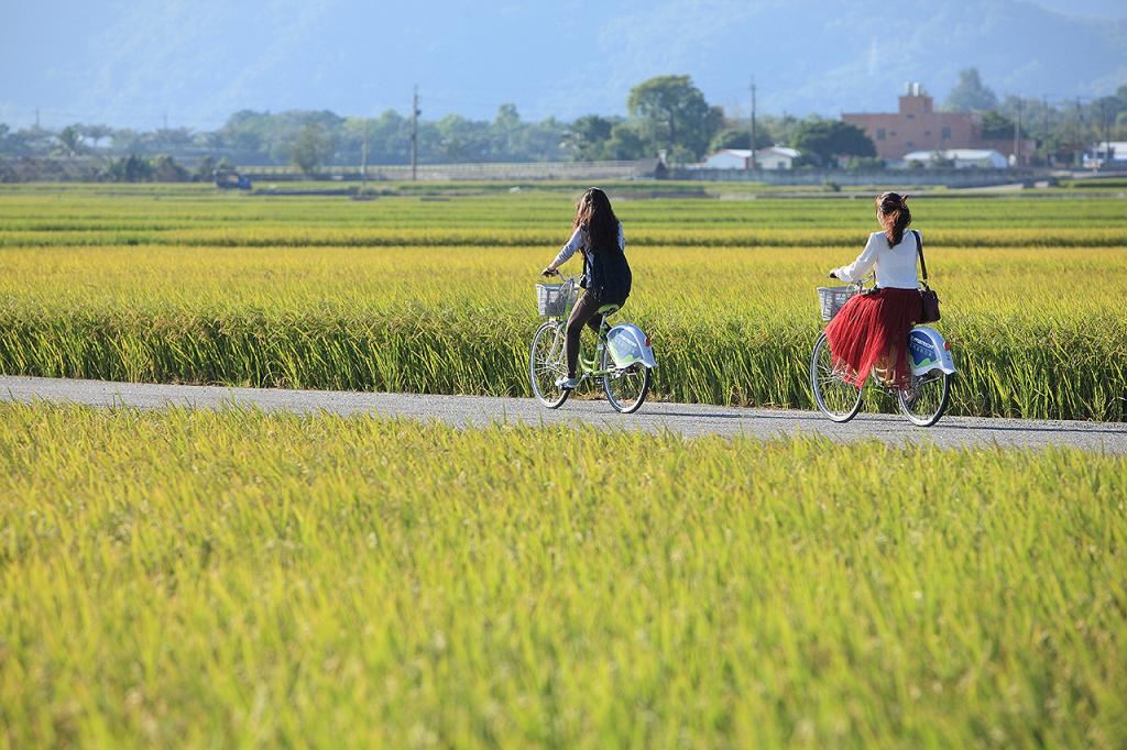 池上伯朗大道
