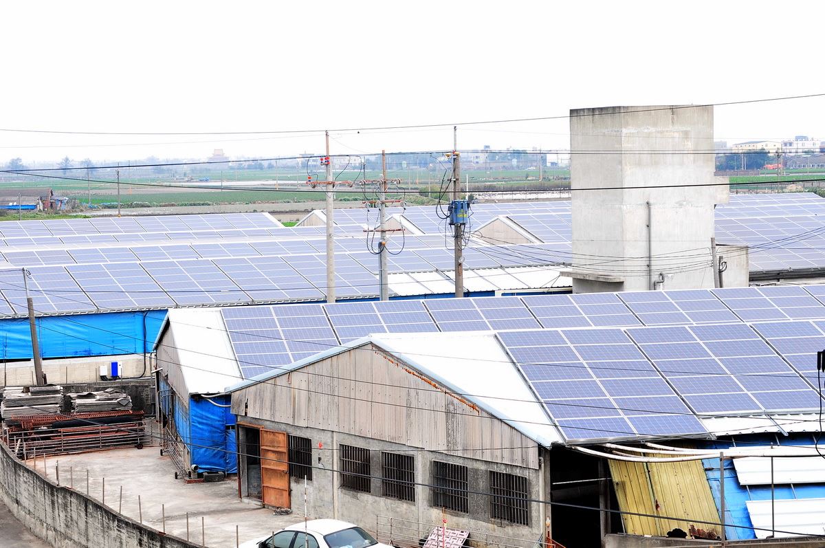雲林光電豬舍：全臺第一個光電豬舍