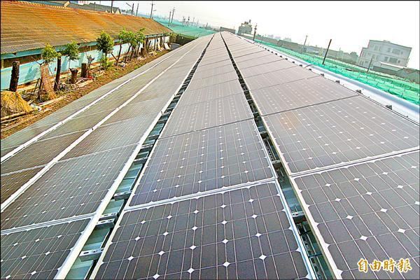 雲林光電雞舍：全臺最大的光電雞舍